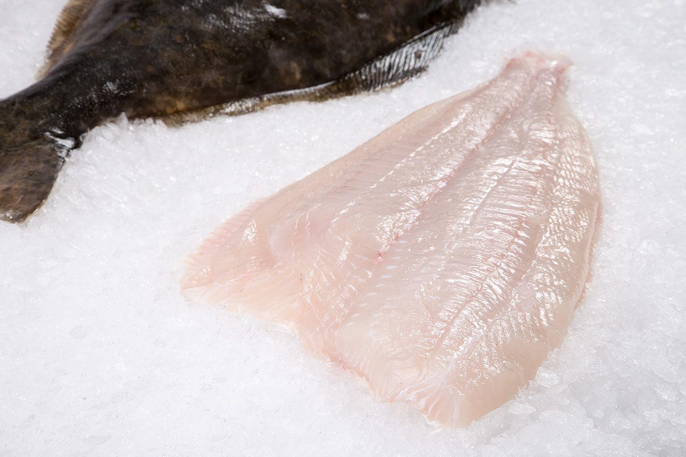 A Pacific halibut fillet on crushed ice beside a whole fish.